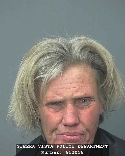 Mug shots 2017